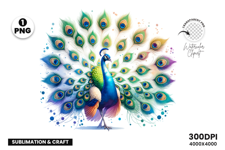 Watercolor Peacock Clipart PNG Sublimation Design
