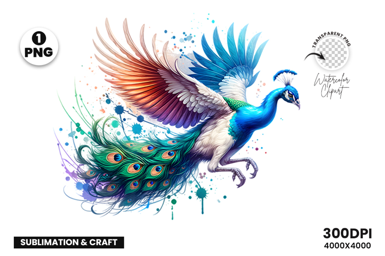 Watercolor Peacock Clipart PNG Sublimation Design