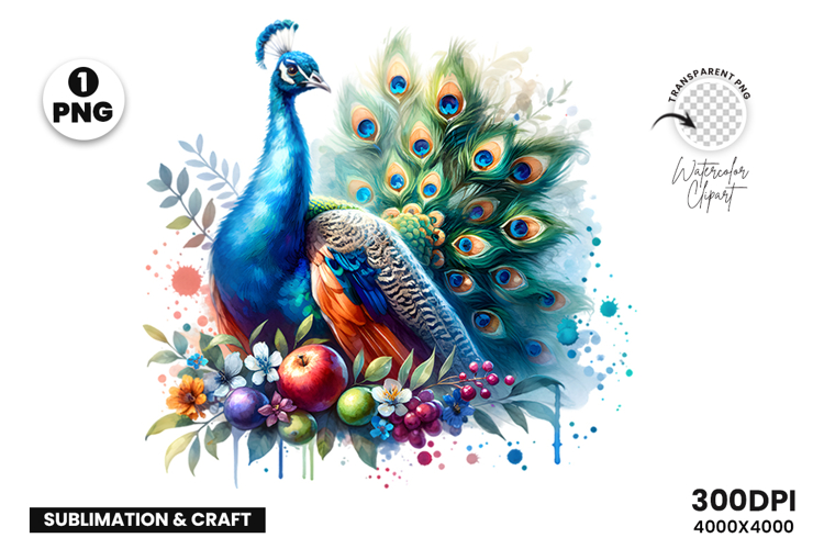 Watercolor Peacock Clipart PNG Sublimation Design