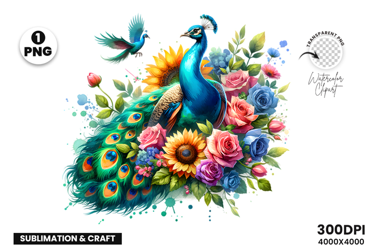 Watercolor Peacock Clipart PNG Sublimation Design