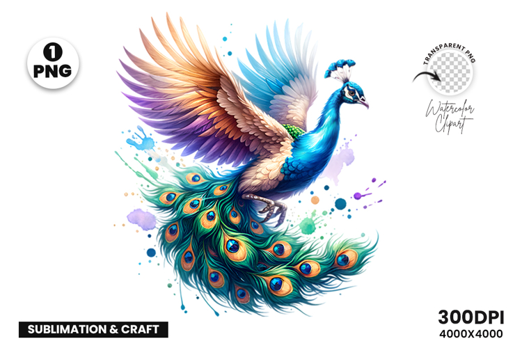 Watercolor Peacock Clipart PNG Sublimation Design