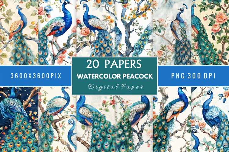 Peacock Feather Clipart Image 20