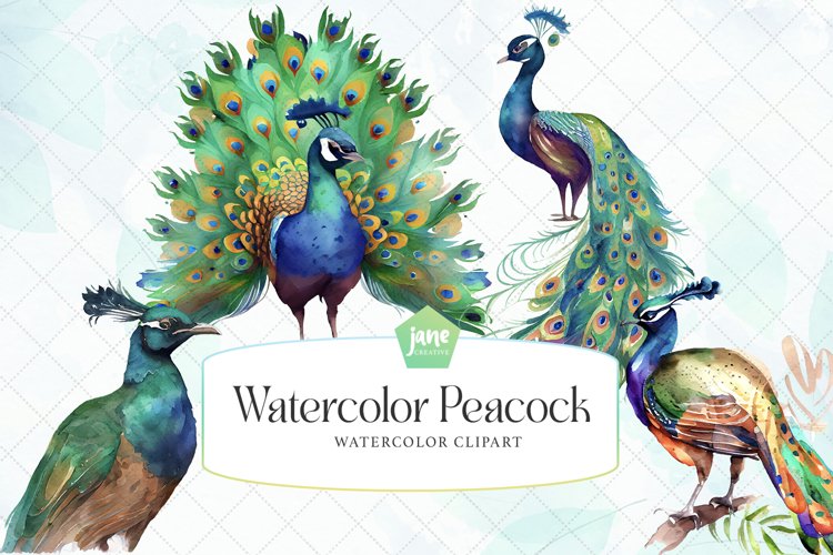 Peacock Watercolor Sublimation Clipart
