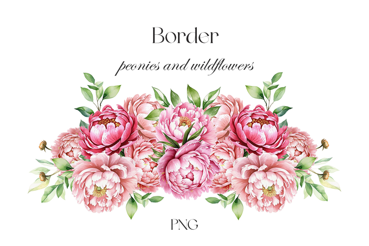 Watercolor peonies border. Garden flowers