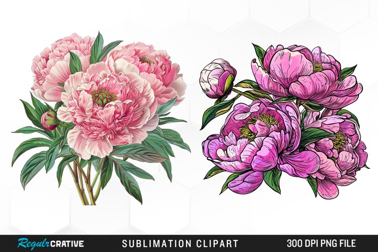 Peony Clipart