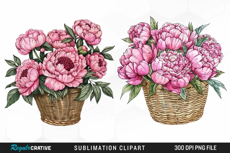 Watercolor Peony Bouquet Clipart