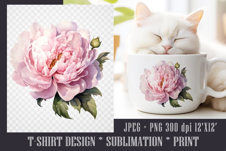 Peony Clipart Image 9