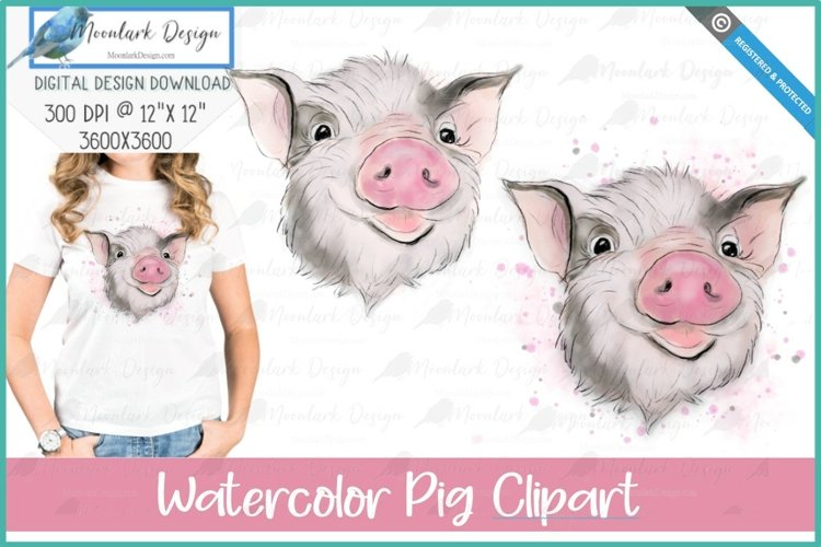 Pig Png Image 12