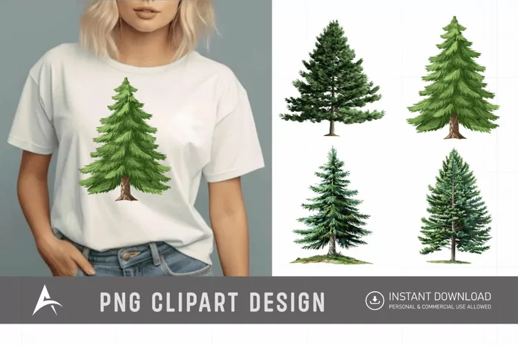 Watercolor Pine Tree Clipart