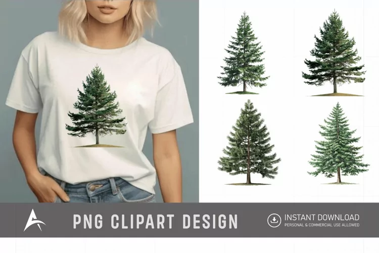 Watercolor Pine Tree Clipart