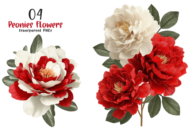 Watercolor Pink Peonies Flowers Clipart