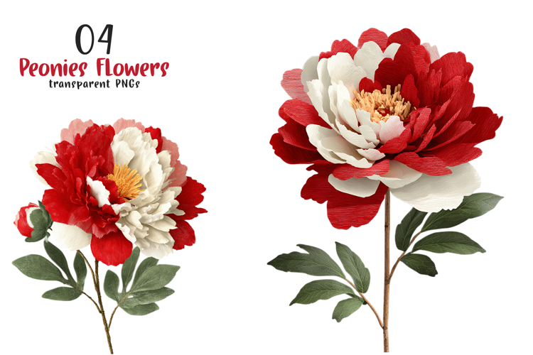 Watercolor Pink Peonies Flowers Clipart