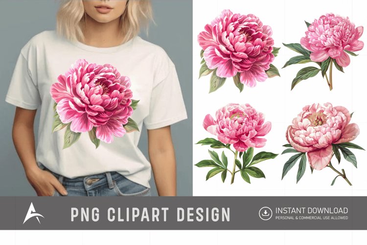 Peony Botanical Illustration Image 6