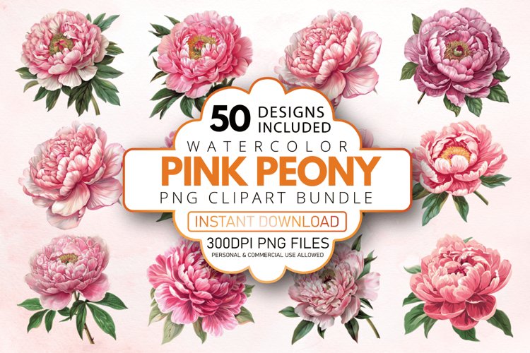 Peony Botanical Illustration Image 9