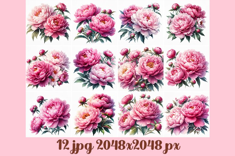 Watercolor pink peony