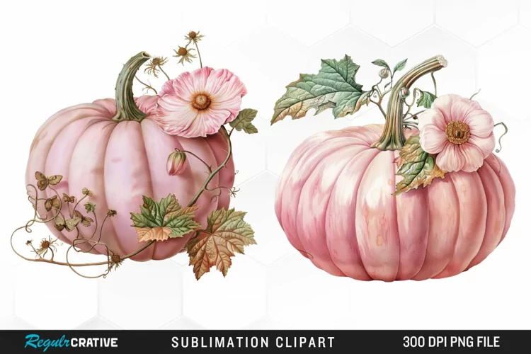 Watercolor Pink Pumpkin Exquisite Clipart