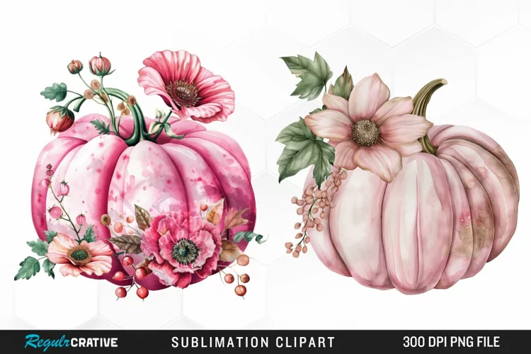 Watercolor Pink Pumpkin Exquisite Clipart