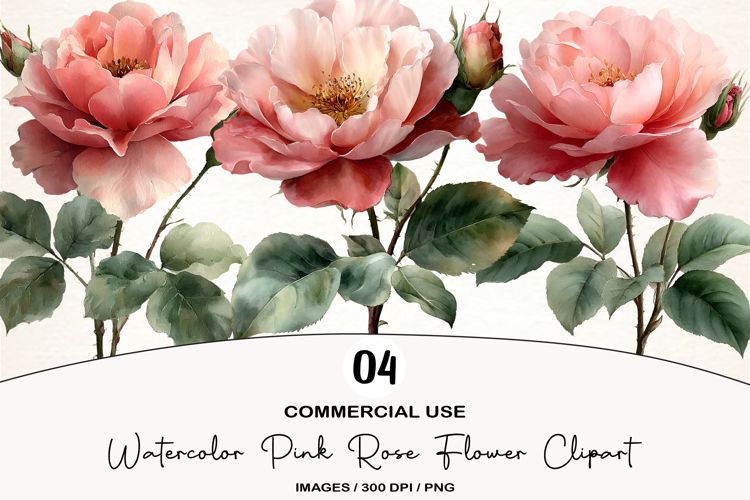Watercolor Pink Rose Flower Clipart