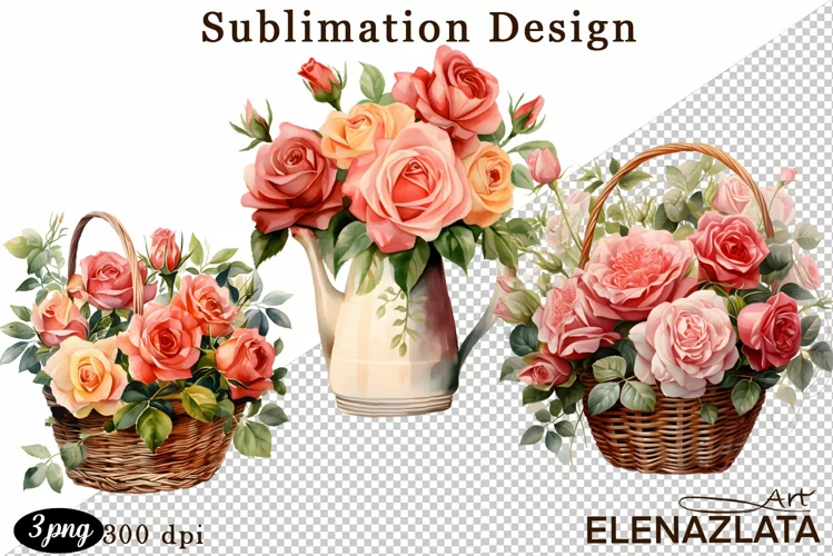 Watercolor pink roses flower Clipart. sublimation