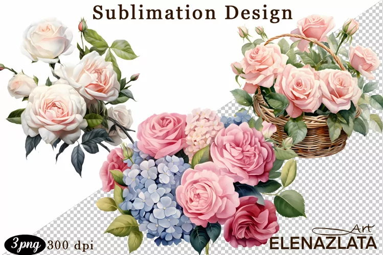 Watercolor pink roses flower Clipart. sublimation