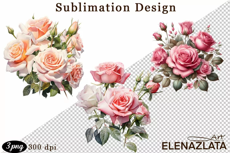 Watercolor pink roses flower Clipart. sublimation