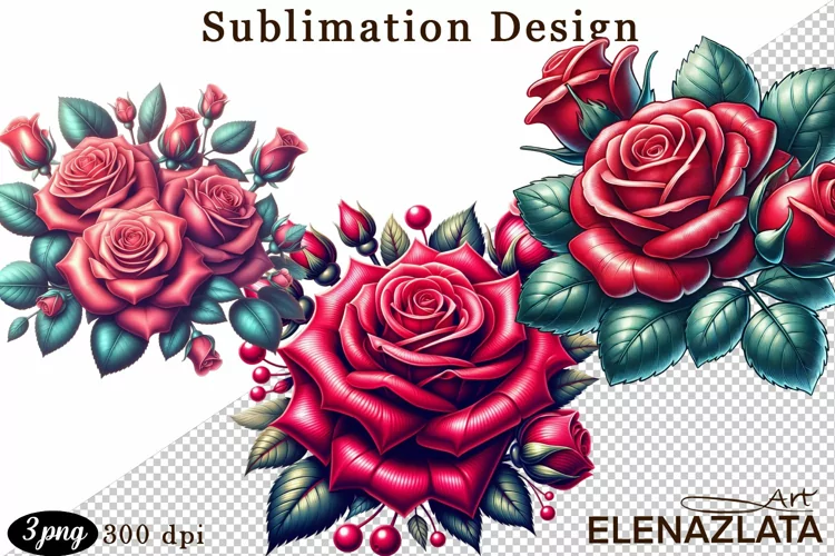 Watercolor pink roses flower Clipart. sublimation