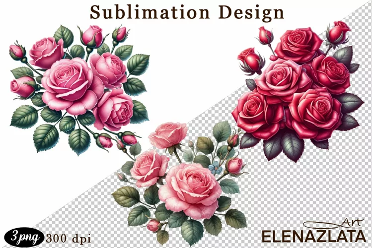 Watercolor pink roses flower Clipart. sublimation