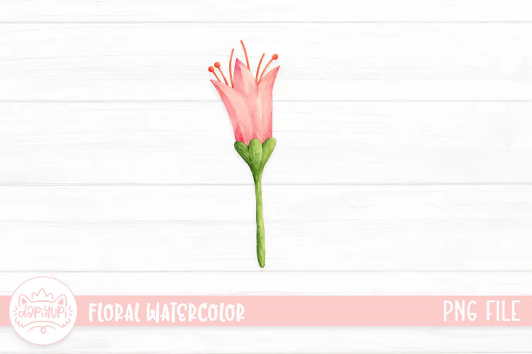 Botanical Watercolor Illustration, Floral Watercolor Design