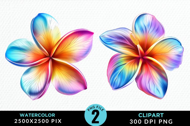 Plumeria Clipart Image 24