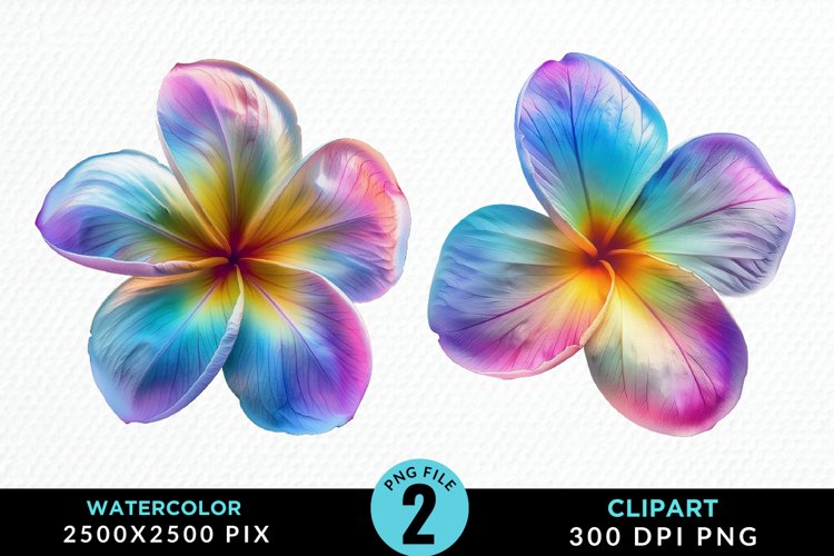 Plumeria Clipart Image 20