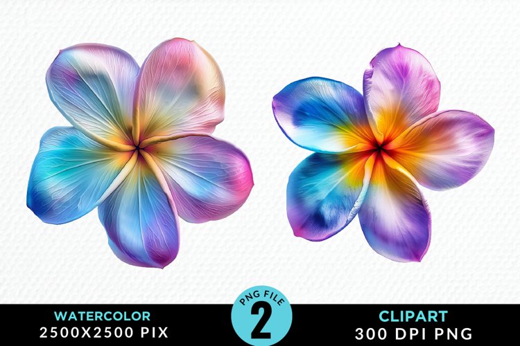 Watercolor Plumeria Flower Artwork Clipart