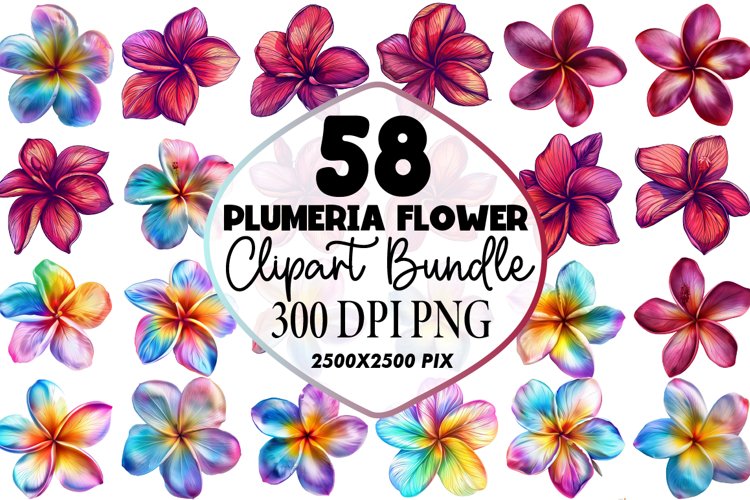 Plumeria Clipart Image 7