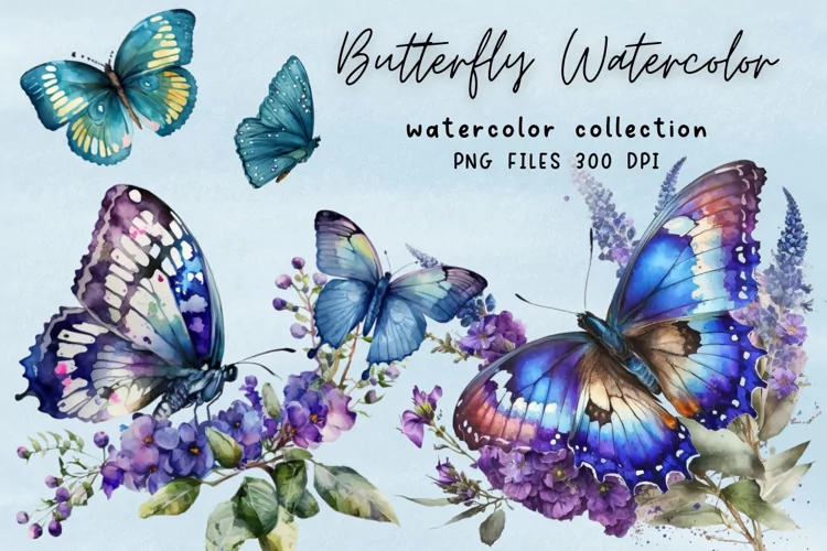 Butterfly Watercolor Sublimation