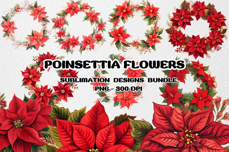 Poinsettia flower Christmas Clipart, Poinsettia sublimation