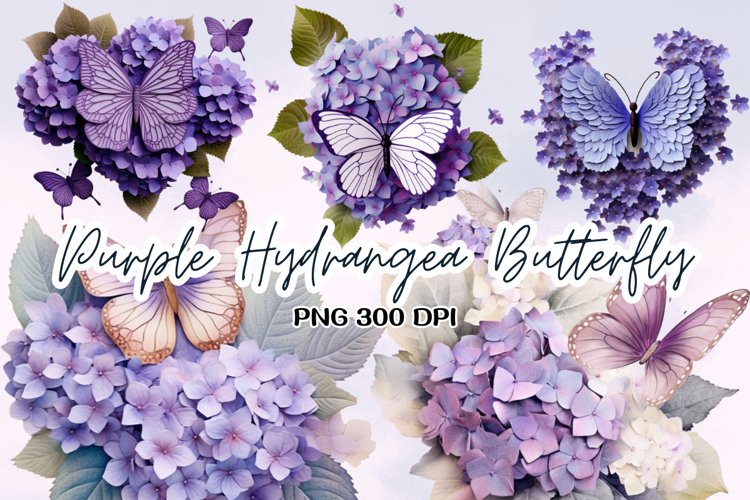 Hydrangea Illustration Image 3
