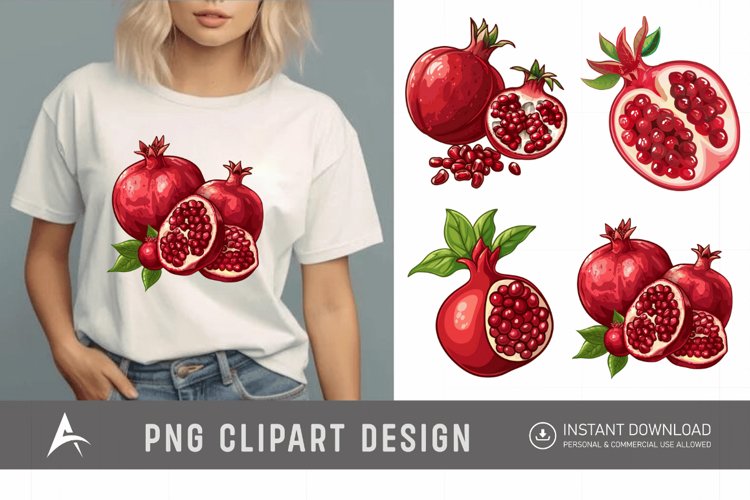 Pomegranate Illustration Image 16