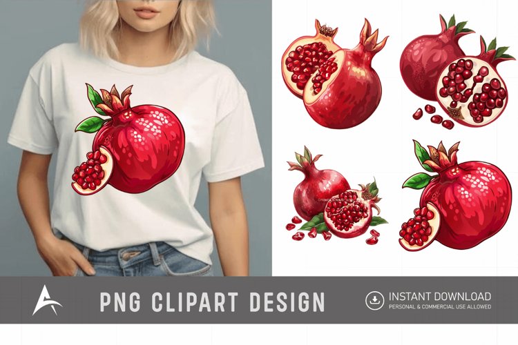 Pomegranate Illustration Image 11