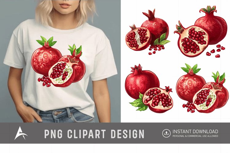 Pomegranate Illustration Image 12