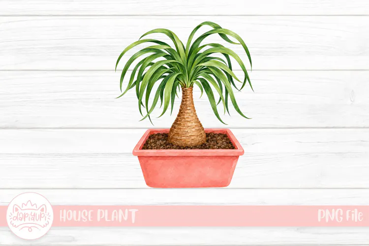 Watercolor Ponytail Palm in Terracotta Planter