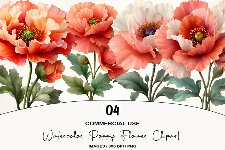Watercolor Poppy Flower Clipart