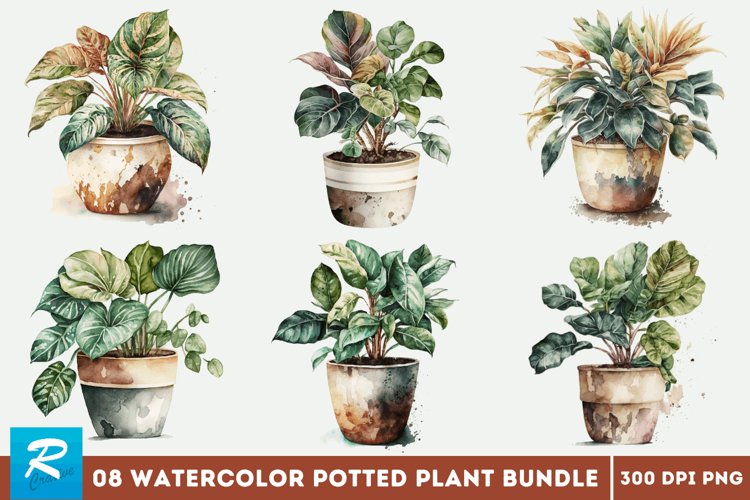 Potted Plants Png Image 23