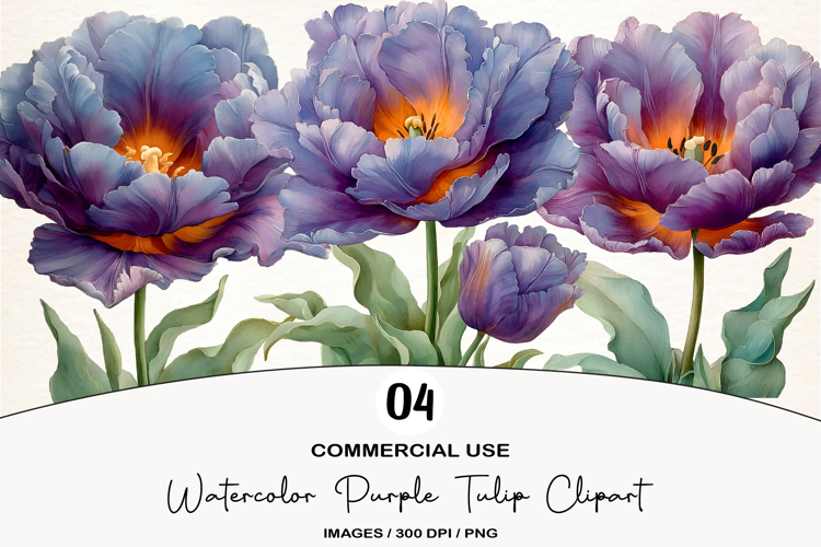 Watercolor Purple Tulip Clipart