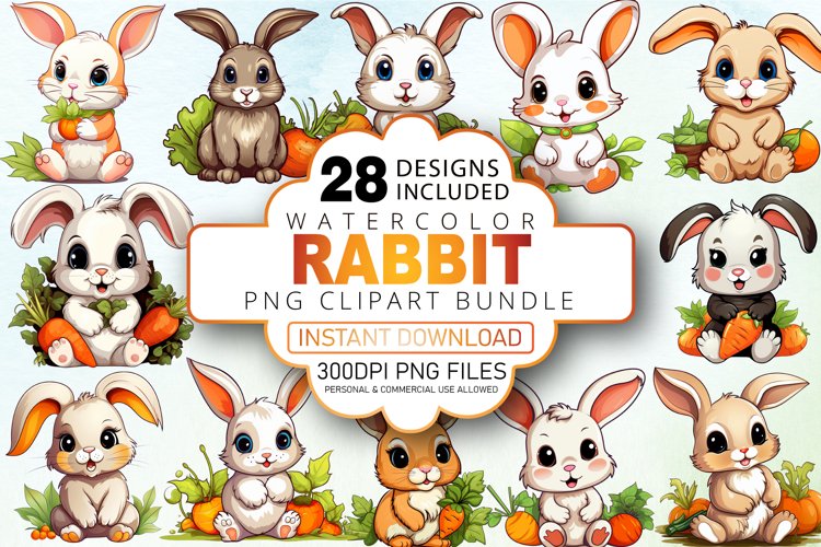 Rabbit Illustration Image 11