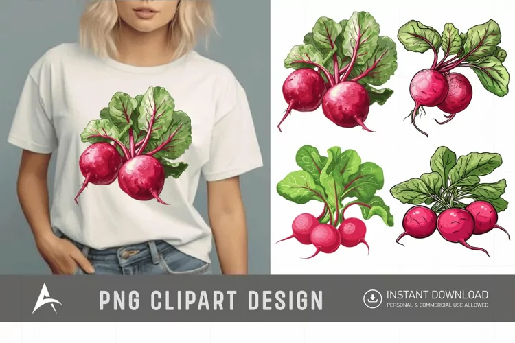 Watercolor Radish Clipart