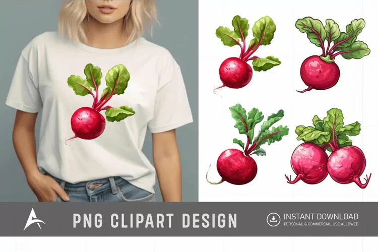 Watercolor Radish Clipart