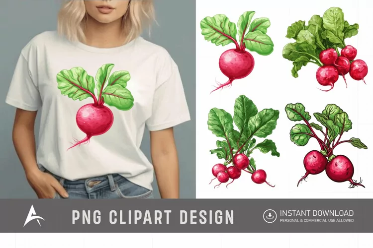 Watercolor Radish Clipart