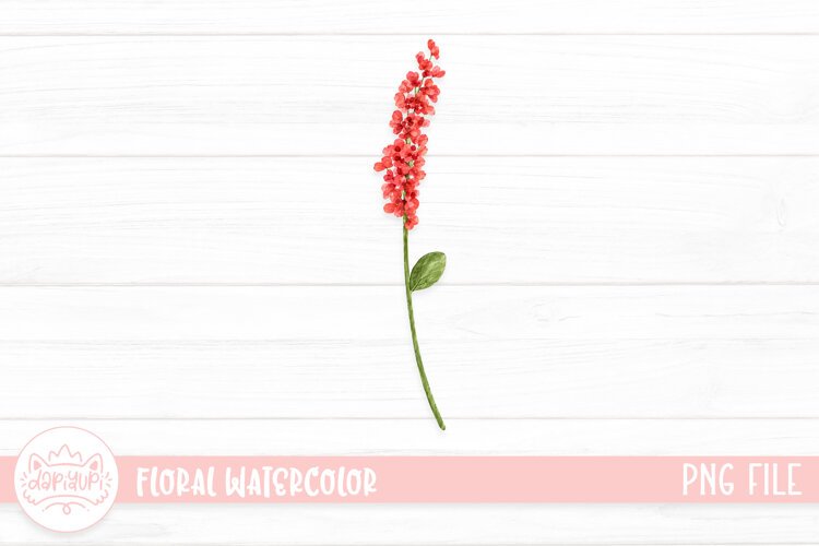 Botanical Watercolor Illustration, Floral Watercolor Design example image 1