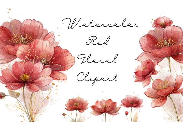 Watercolor Red Floral Clipart PNG