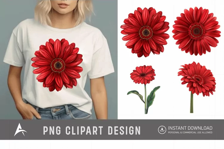 Watercolor Red Gerbera Daisy Flowers Clipart