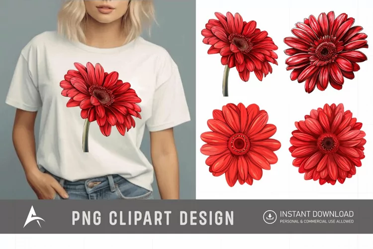 Watercolor Red Gerbera Daisy Flowers Clipart